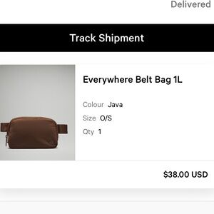 Everywhere Belt Bag 1L